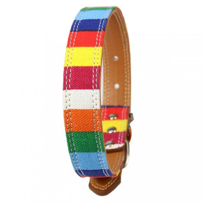 collier chien arc en ciel 