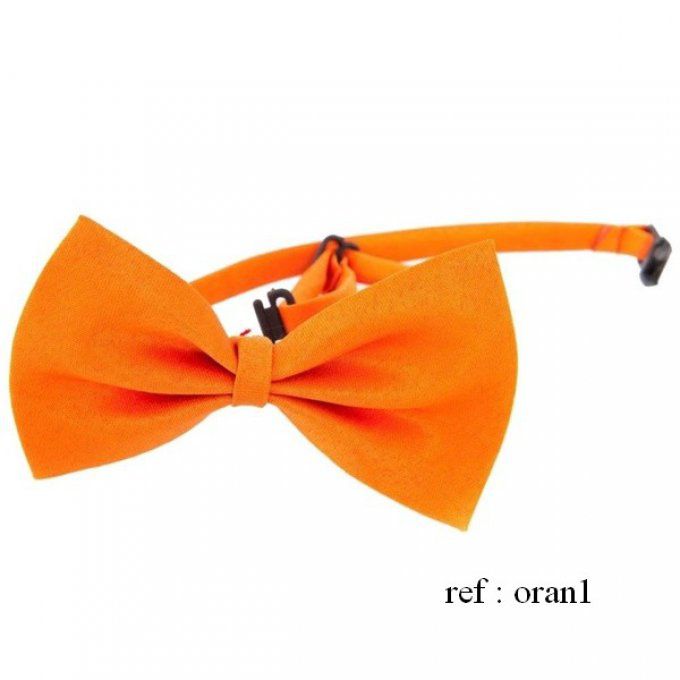 Noeud papillon satin chic